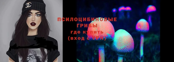 эйфоретик Богородск