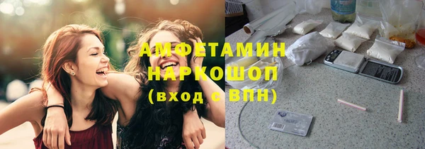 прущий лед Богданович